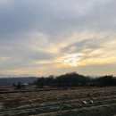 양평샘꼴농장 이미지