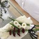 레뷰즈 맨션 네이버블로그