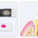 대성치과의원 이미지