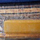 베드로 농장 이미지