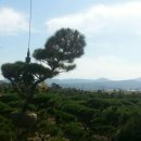 거산농장 이미지