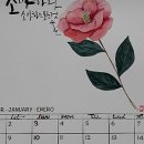 임지애캘리그라피 이미지