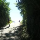 금계노모당 이미지