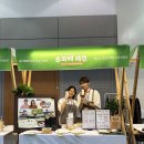 노랑제주 | 꿀노랑, 푸파페 제주 박람회 후기