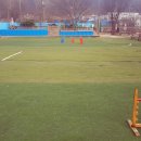 펫피랜드 이미지