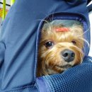 로꼬동전노래연습장 이미지