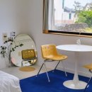 하이제인 이미지