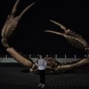 영덕해파랑펜션 이미지