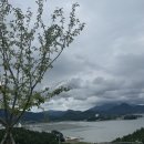 정글돔풀빌라 앤 글램핑 | 거제도 독채 풀빌라 정글돔 풀빌라 앤 글램핑