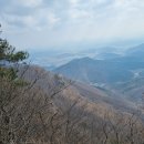 영의농장 이미지