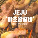 새벽 4시까지 영업하는 제주시청맛집, 제주도고기집 ‘마초왕갈비’ 찐후기