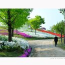 한밭수목원 동원 이미지