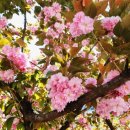 초원가든 이미지