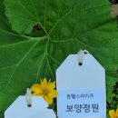 헬스라이프스토리 이미지