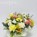 주정차단속-101 이미지