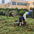 미평공원 이미지