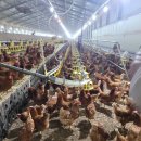 다원스마트팜 이미지