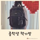 플로라이크 | 중학생 책가방 디스커버리 라이크 에어 플로 백팩 내돈내산 후기