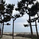 GS25춘장대점 이미지