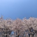 매봉공인중개사사무소 이미지