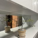 백화stay 이미지