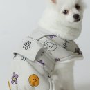 아나조이 네이버블로그