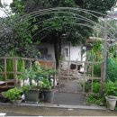 분당-282 이미지