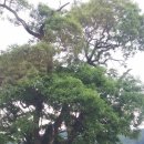 금빛마을경로당 이미지