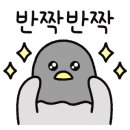 새솔미트 이미지