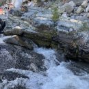 천하장사가든 이미지