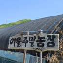 여울농장2 이미지