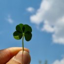 노상혁 FTC 이미지