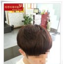 오렌지헤어팜 이미지