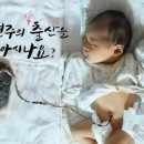 자연주의 조산원 이미지