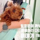 놀러왕왕왕 네이버블로그