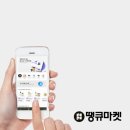 팜코브
