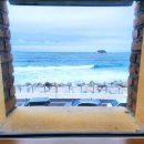 모레브A 이미지