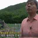 스페셜독 이미지