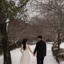 온마음을담다