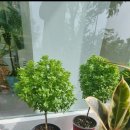 꿈에그린목장 이미지