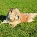 나음동물병원 이미지