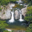 포항상생숲길 이미지