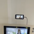 도긴어스 이미지