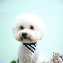 우우