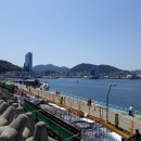 오동도 이미지