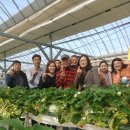 동그라미농장 이미지