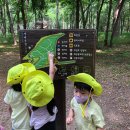 다경어린이집 이미지