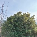 천두농장 이미지