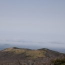 형제사슴목장 이미지