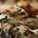 선녀경로당 이미지